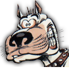 Avatar de l’utilisateur